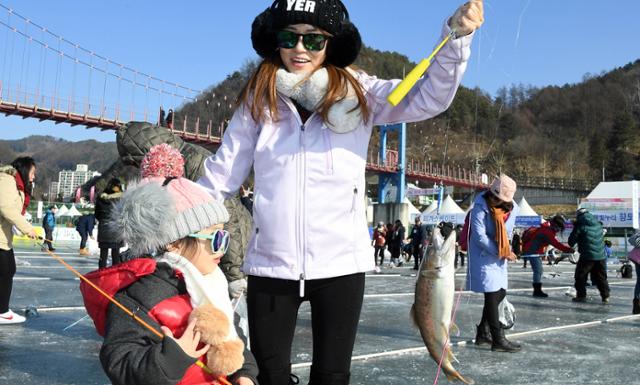 지난해 1월 강원 화천군 화천천에서 열린 산천어축제장을 찾은 외국 관광객이 산천어를 낚아 올리고 있다. 화천군 제공