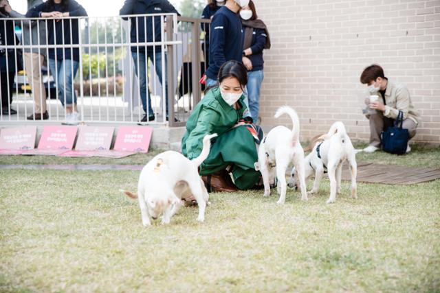 지난달 15일 경기 파주시에서열린 더봄센터 개관식에 참석한 배우 문소리씨가 행사 후 센터에서 생활하는 강아지들과 시간을 보내고 있다. 문씨는 이날 개관식 사회를 맡았다. 동물권행동 카라