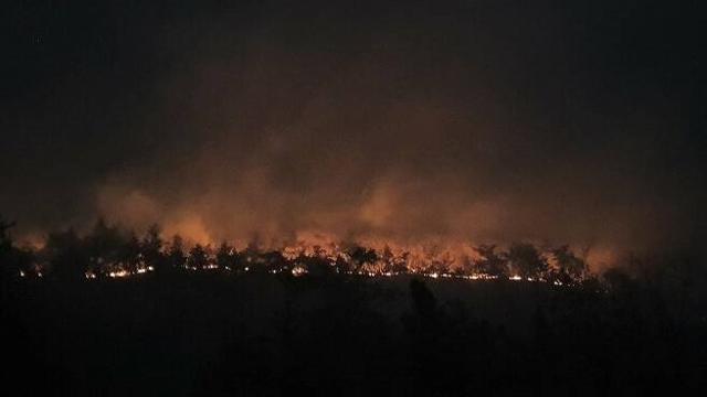 전남 고흥군 금산면 거금도 야산에서 불이 나 인근으로 번지고 있다. 전남소방본부 제공