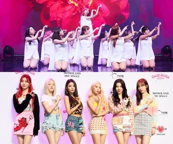 우주소녀와 모모랜드 멤버들이 코로나19 검사 결과 음성 판정을 받았다. 스타쉽, MLD엔터테인먼트 제공