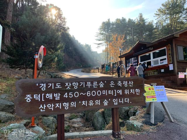 가평 잣향기푸른숲 입구. 산악지형이라지만 경사가 심하지 않고 운동 삼아 걷기 좋은 수준이다. 입구 부근만 산책해도 숲의 향기를 진하게 맛볼 수 있다.