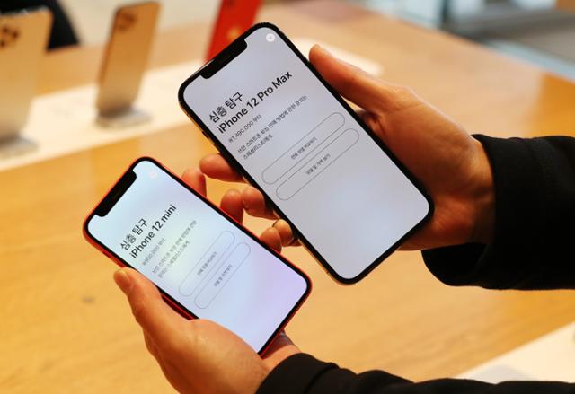 애플의 아이폰12 프로맥스와 아이폰12 미니가 공식 출시한 지난 11월 20일 서울 강남구 가로수길 애플스토어에서 한 고객이 아이폰12 프로맥스와 미니를 비교하고 있다. 뉴스1