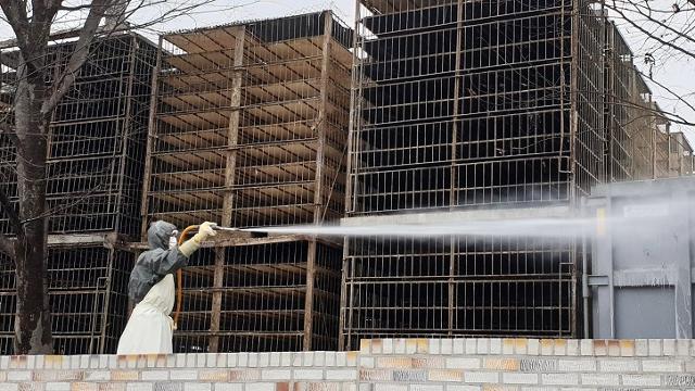 10일 오전 전남 나주시의 한 도축장 관계자가 내부 시설을 방역·소독하고 있다. 연합뉴스