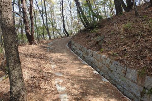 부산 최초의 국가산림문화자산인 '강서구 가덕도 외양포 포대와 말길'. 부산시 제공