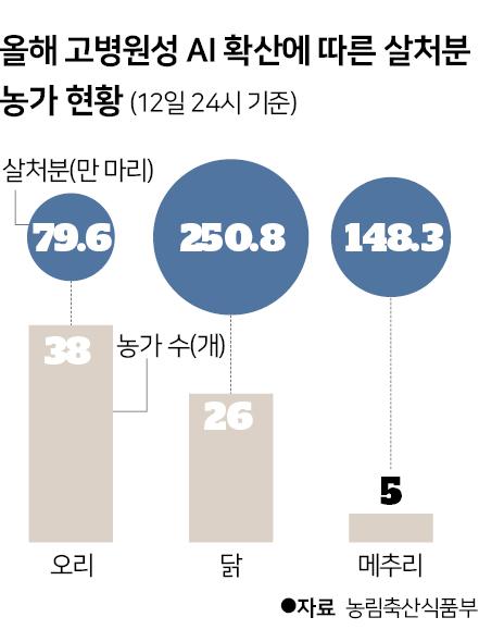 시각물_올해 고병원성 AI