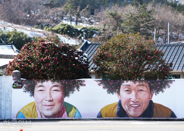 암태도 기동삼거리의 '동백꽃 파마' 벽화. 천사대교를 개통하며 볼거리로 그린 벽화가 신안 중부 4개 섬을 대표하는 이미지로 부각됐다.