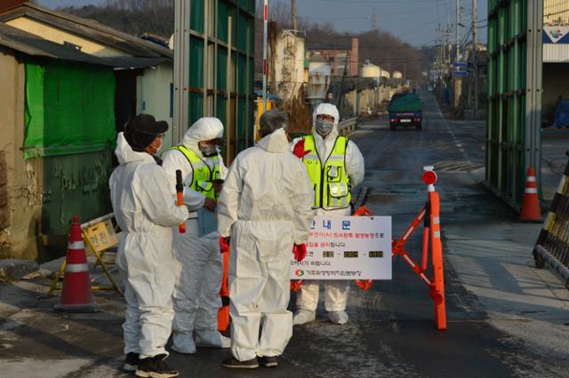 H5N8형 고병원성 조류인플루엔자(AI) 항원이 검출된 경북 경주시 천북면 신당리 희망농원에서 27일 용역직원들이 살처분 준비를 하고 있다. 뉴스1