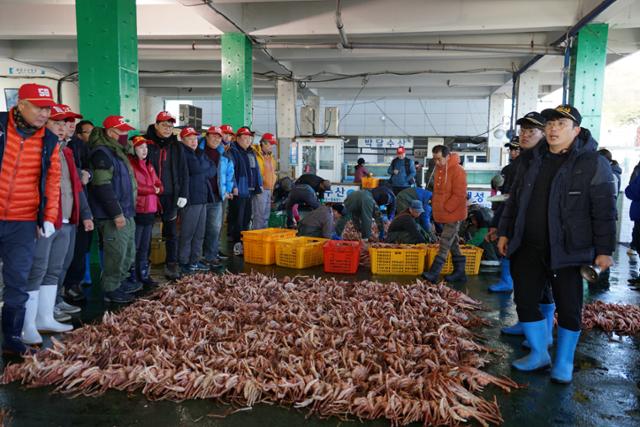 지난 2019년 12월 3일 경북 포항시 남구 구룡포수협 위판장에서 대게 경매가 이뤄지고 있다. 포항=김정혜 기자 kjh@hankookilbo.com