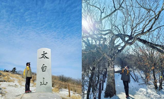 이시영이 태백산을 찾았다. 이시영 SNS 제공