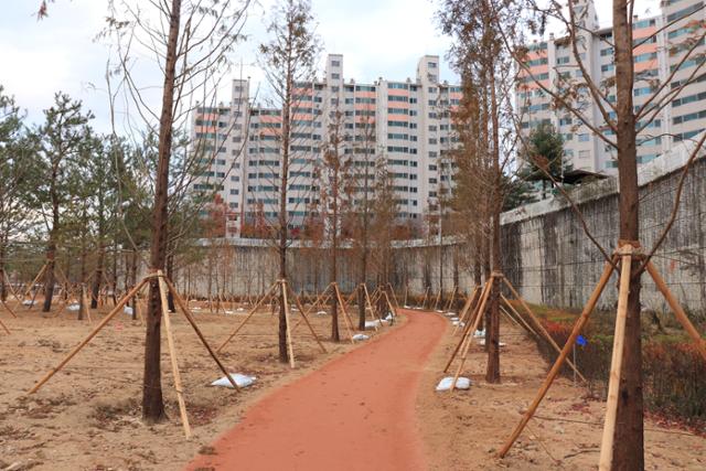 용인시는 처인구 경안천 도시숲 2만 2206㎥ 1단계 조성 사업을 완료했다. 산책로 뒤로 인근 아파트가 보인다. 용인시 제공