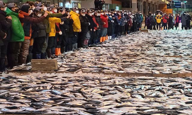 지난 4일 부산공동어시장에서 중도매인들이 2021년 새해 첫 고등어 경매를 하고 있다. 연합뉴스