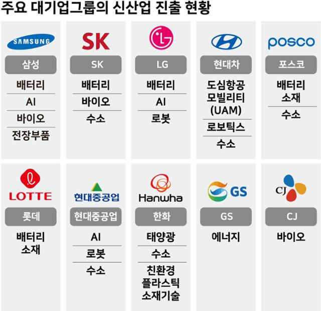 주요 대기업그룹의 신산업 진출 현황