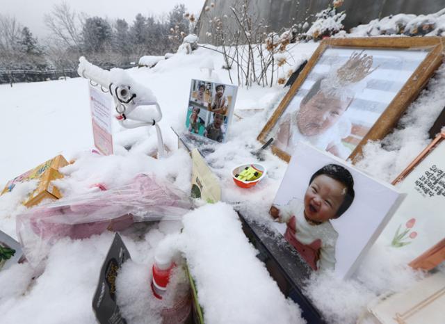 13일 오전 경기 양평군 하이패밀리 안데르센 공원묘원에 안치된 고 정인 양의 묘지에 추모객들이 두고 간 사진과 선물들이 놓여 있다. 양평=연합뉴스