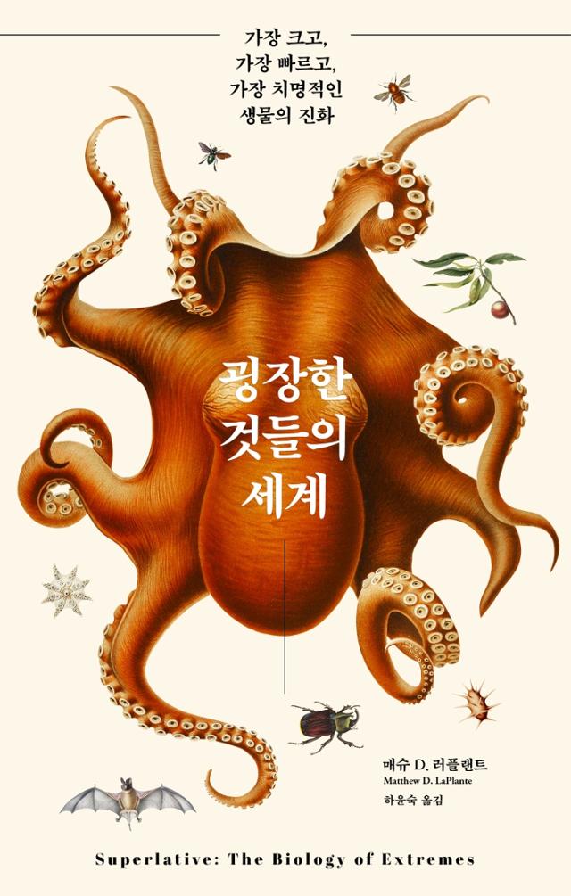 매슈 D. 러플랜트 지음. 하윤숙 옮김. '굉장한 것들의 세계'