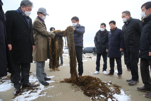 지난 17일 박우량 신안군수와 서삼석 의원이 자은도 괭생이모자반 피해현장을 방문, 대책을 논의했다. 신안군 제공