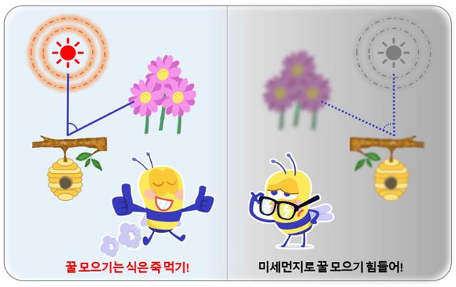 산림청 국립산림과학원이 초미세먼지가 꿀벌 비행시간에 미치는 영향을 연구했다. 산림과학원 제공