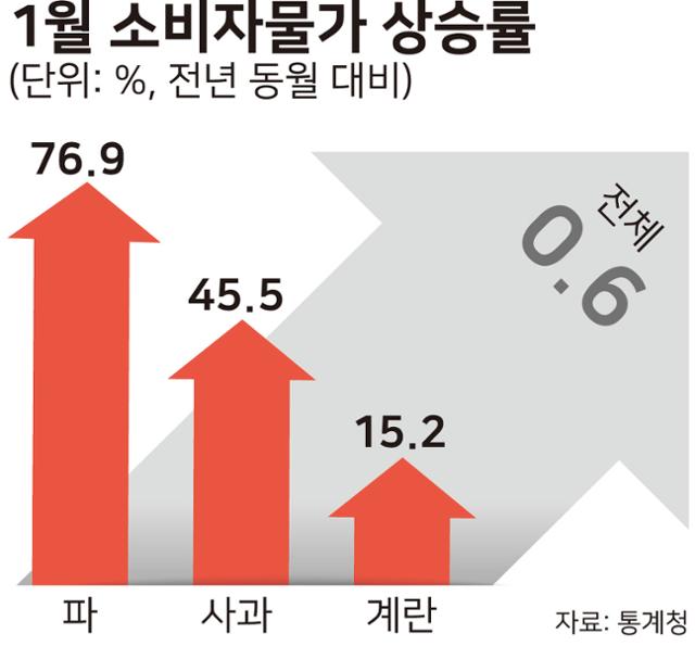 시각물_1월-소비자물가-상승