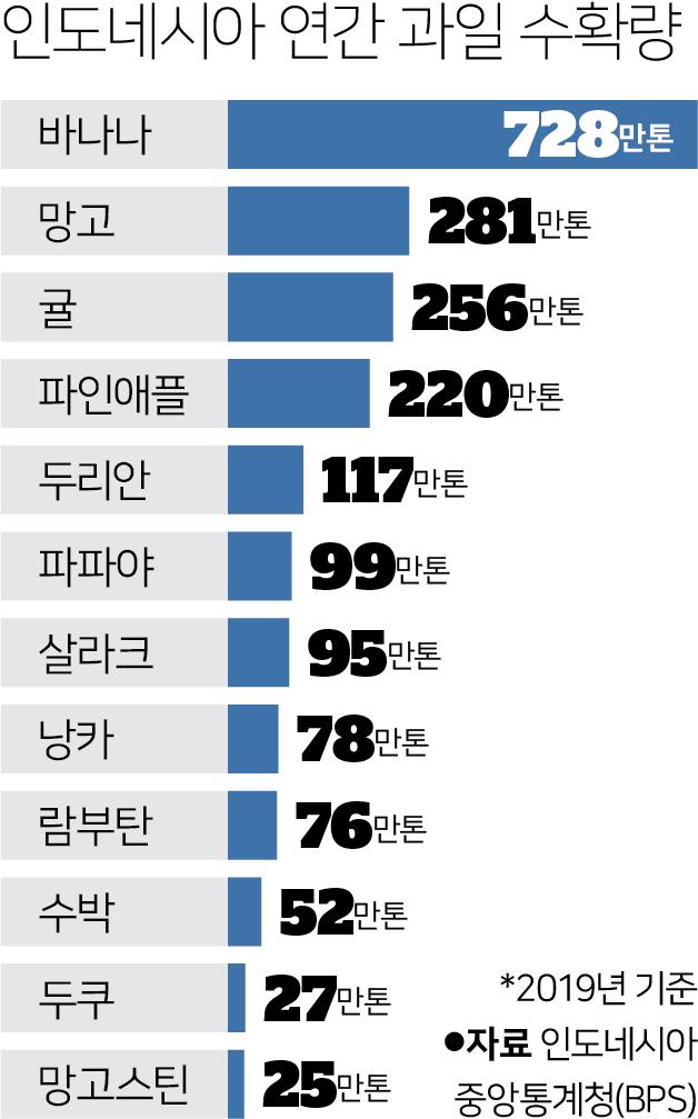 인도네시아 연간 과일 수확량. 그래픽=강준구 기자