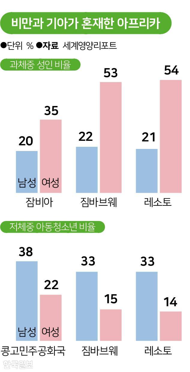 비만과 기아가 혼재한 아프리카. 그래픽=송정근 기자