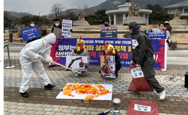 동물권행동 카라 등 단체들은 10일 서울 종로구 청와대 앞에서 산안마을 닭들에 대한 예방적 살처분 강행 중단을 촉구하는 기자회견을 열었다. 동물권단체 카라 제공