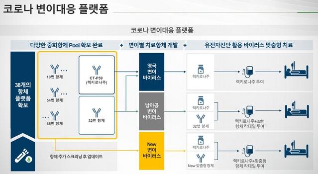 셀트리온의 코로나 변이 대응 플랫폼. 셀트리온 제공