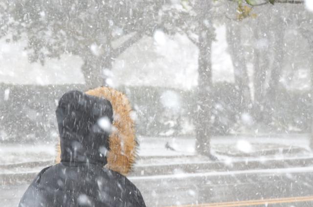 [눈이 녹아 비가 된다는 절기 '우수'(雨水)를 하루 앞둔 17일 오후 제주대학교 교정에 눈보라가 치고 있다. 기상청에 따르면 이날 한때 제주 고산 지역에 초속 28.7m의 강한 바람이 부는 등 기상이 악화하고 있다.뉴시스