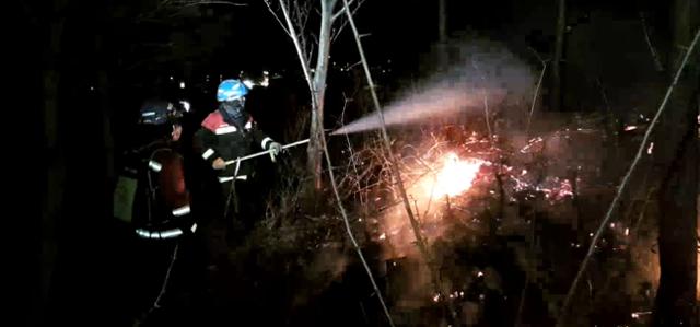 19일 오전 강원 양양군 양양읍 사천리의 한 창고에서 발생한 화재가 인근 야산으로 번져 소방당국 및 산림청 관계자들이 화재를 진압하고 있다. 뉴스1