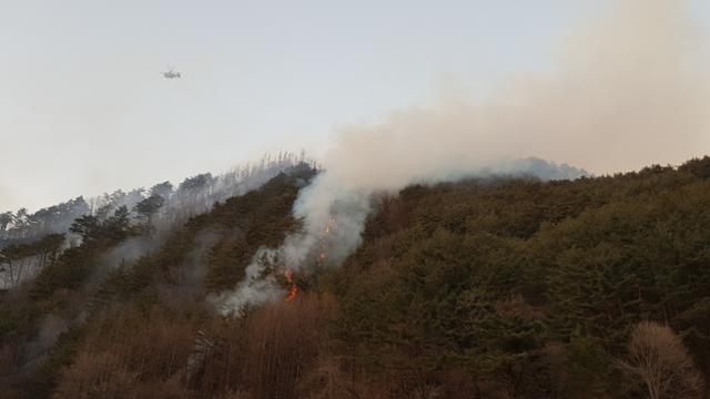 20일 오후 4시쯤 강원 정선군 여량면 구절리 야산에서 불이나 헬기 12대가 투입돼 진화작업을 벌이고 있다. 연합뉴스