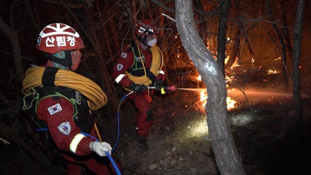 22일 산림청 항공본부 공중진화대원들이 경북 안동시 임동면에서 밤샘 산불 진화작업을 펼치고 있다. 산림청 제공