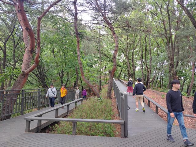 서울 노원구 영축산 순환산책로를 따라 주민들이 산책하고 있다. 노원구청 제공