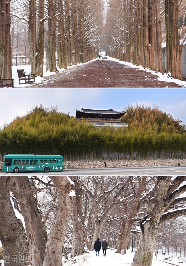 담양은 읍내에 3개의 유서 깊은 숲을 보유하고 있다. 위에서부터 근대화의 상징인 메타세쿼이아 가로수길, 대나무의 본고장임을 자랑하는 죽녹원, 500년 역사의 관방제림.