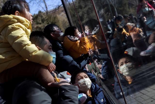 춘제(중국의 설) 연휴이던 15일 중국 관람객들이 유리창 너머로 베이징 동물원의 원숭이 우리를 들여다보고 있다. 베이징=로이터 연합뉴스