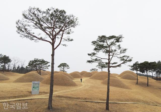 옥전고분군은 발굴 조사 후 산책하고 사진찍기 좋도록 정비해 놓았다.