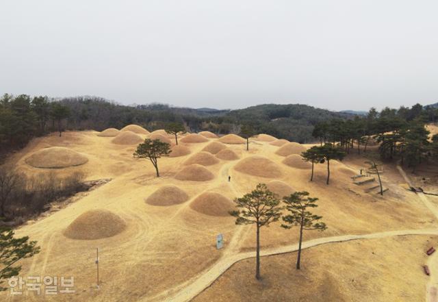 합천박물관 뒤편의 옥전고분군. 가야 다라국 지배층의 무덤으로 추정하고 있다.