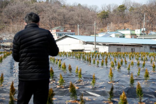 한국토지주택공사(LH) 일부 직원들의 투기 의혹과 관련해 정부합동조사단은 이번 투기의혹 조사대상이 수만명에 달할 것이라며 조사대상을 더 확대하는 부분도 검토할 것이라고 밝혔다. 5일 국토부에 따르면 정부합동조사단은 조사를 통해 위법사항이 확정될 경우 엄정조치할 방침이다. 사진은 5일 오후 LH 직원들이 사들인 경기도 시흥시 과림동 소재 농지의 모습. 뉴스1