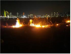 지난 7일 오후 발생한 세종시 금강변 갈대밭 화재 현장에서 소방대가 진화작업을 하고 있다. 세종소방본부 제공