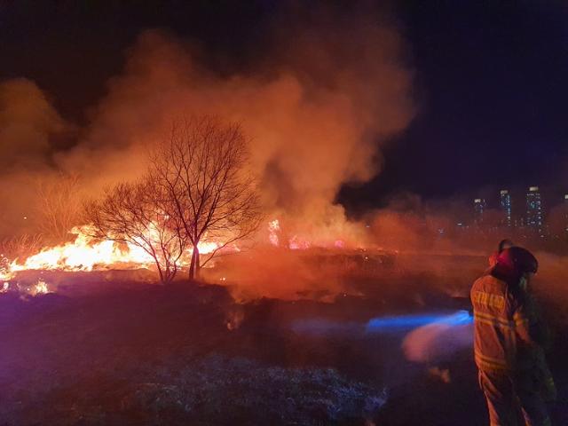 21일 오후 발생한 세종시 금강변 갈대밭 화재 현장. 세종소방본부 제공