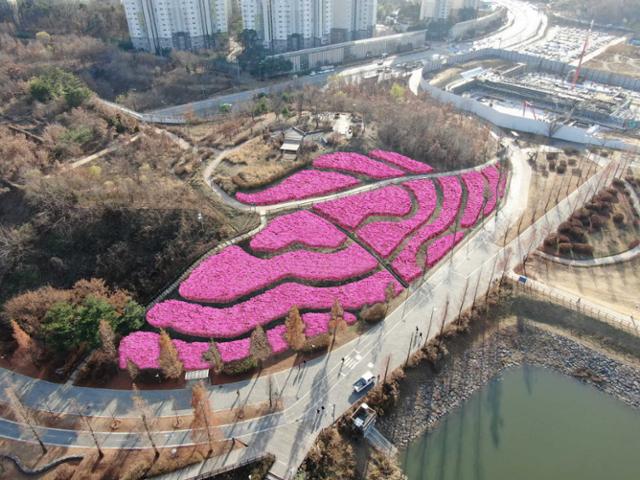 광교호수공원에 조성될 철쭉동산 계획도. 수원시 제공