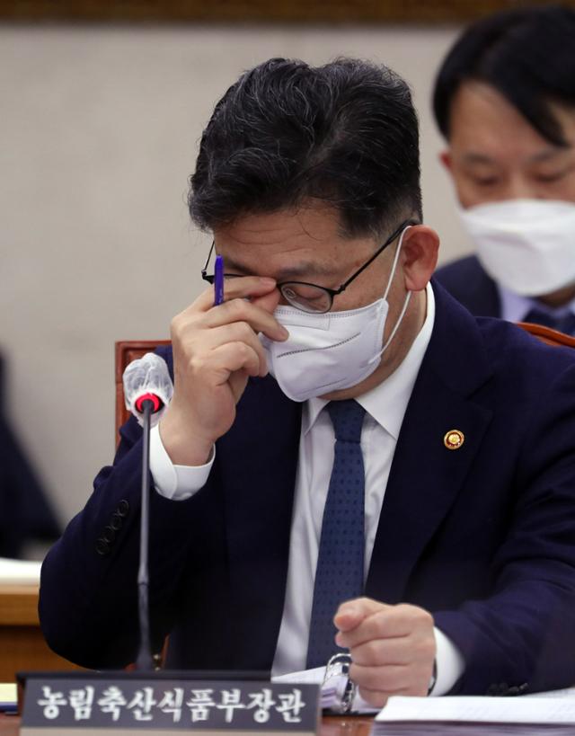 김현수 농림축산식품부 장관이 11일 국회에서 열린 농림축산식품해양수산위원회 전체회의에서 안경을 고쳐 쓰고 있다. 뉴시스