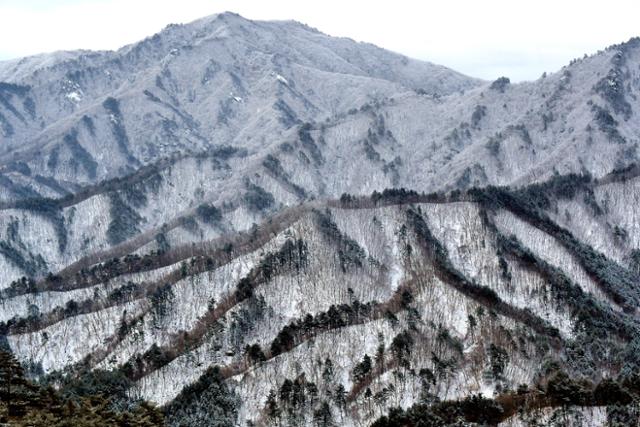 지난 주말 강릉으로 향하는 버스 안에서 본 강원 평창군 부근의 설경.