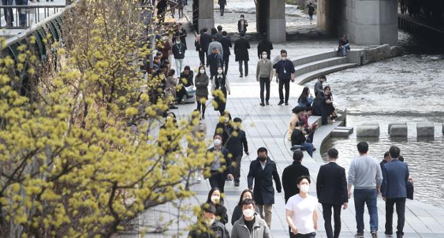 서울 한낮 기온이 20도까지 오르며 올봄 들어 가장 포근한 날씨를 보인 19일 오후 청계천에서 시민들이 만개한 산수유꽃 사이로 산책을 하고 있다. 뉴스1