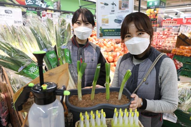 대파 가격 상승으로 집에서 손쉽게 키워 먹는 '파테크'가 인기를 끄는 가운데 19일 롯데마트 광주수완점 직원들이 대형 화분과 배양토, 식물 전용 영양제 등 관련 상품을 선보이고 있다. 롯데백화점 제공