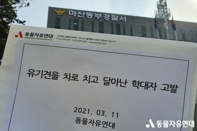 동물자유연대는 장군이를 차량으로 친 운전자를 동물보호법 위반으로 경찰에 고발했다. 동물자유연대 제공