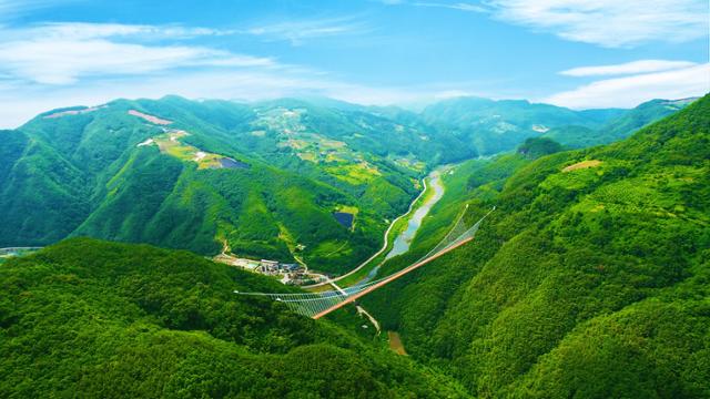 경북 봉화군이 청량산에 건설하는 현수교 조감도. 봉화군 제공