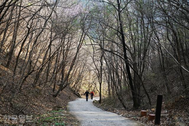 준경묘 가는 길은 시작부터 가파른 오르막이다. 시멘트 포장길과 목제 계단으로 오르는 옛길이 있다.