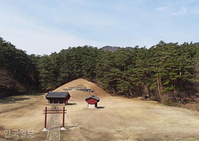 태조 이성계의 5대조 무덤인 삼척 준경묘. 깊고 깊은 산중이지만 아름드리 소나무로 둘러싸인 묏자리가 넓고 아늑하다.