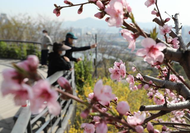 약한 황사로 인해 미세먼지 농도 나쁨 수준을 보인 31일 오전 서울 성동구 응봉산에 오른 시민들이 뿌연 도심을 바라보고 있다. 이날 오후부터 전국 대부분 지역의 미세먼지 농도가 보통 수준을 회복하고 낮 최고기온 20도를 웃도는 초여름 날씨를 보이는 등 일교차가 큰 날씨가 이어질 전망이다. 뉴스1