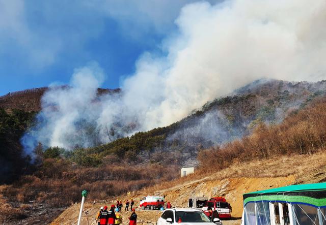 31일 오후 강원 정선군 신동읍 운치리의 야산에서 불이 나 연기가 솟구치고 있다. 산림청 중앙산불방지대책본부 제공.