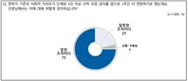 정부의 사회적 거리두기 연장 방침에 대해 '잘한 조치'라는 답변(75%)이 압도적으로 높게 나왔다. 전국지표조사(NBS) 홈페이지 캡처