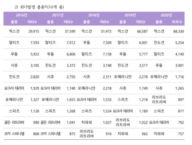 지난 5년간 유기견 품종. 동물자유연대 제공